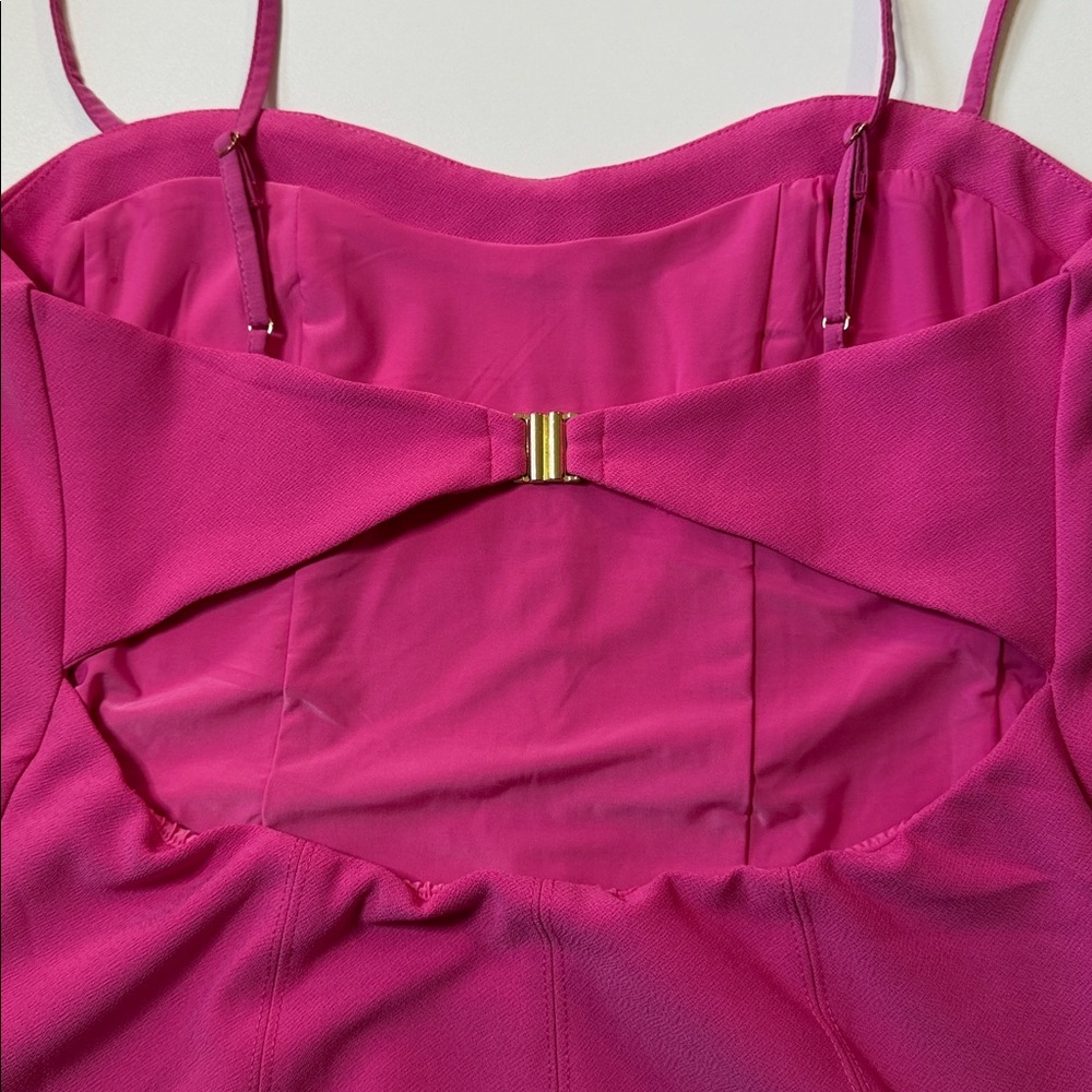 Abercrombie & Fitch Fuchsia Corset Dress Size Medium Petite - Picture 6 of 6
